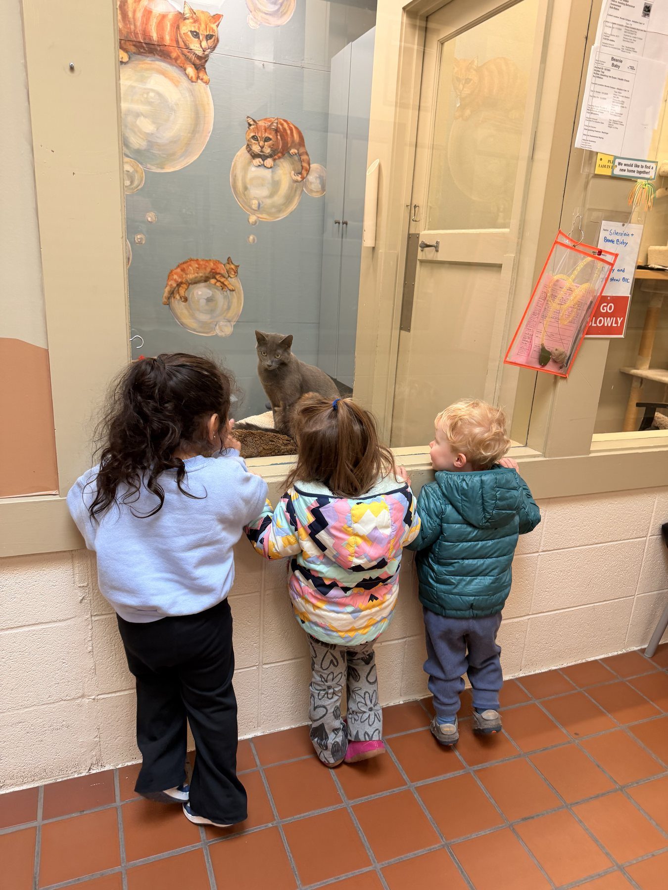 Children sharing a community learning experience