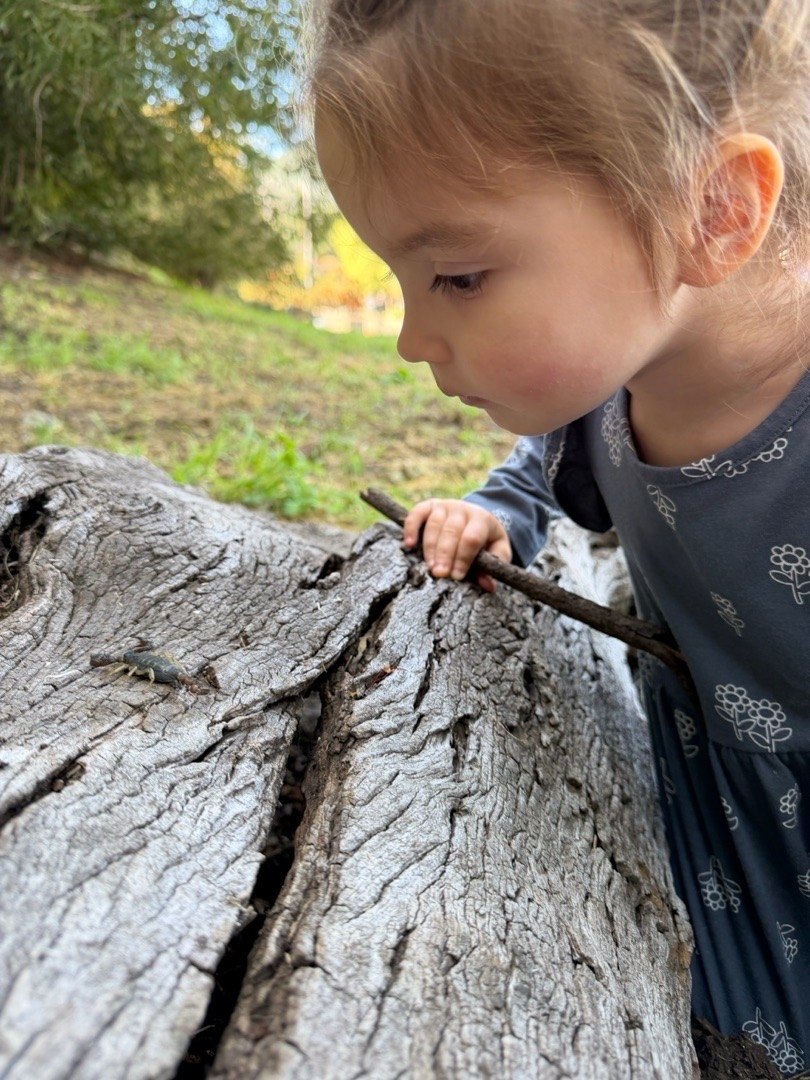 A young child closely observing a small creature in nature