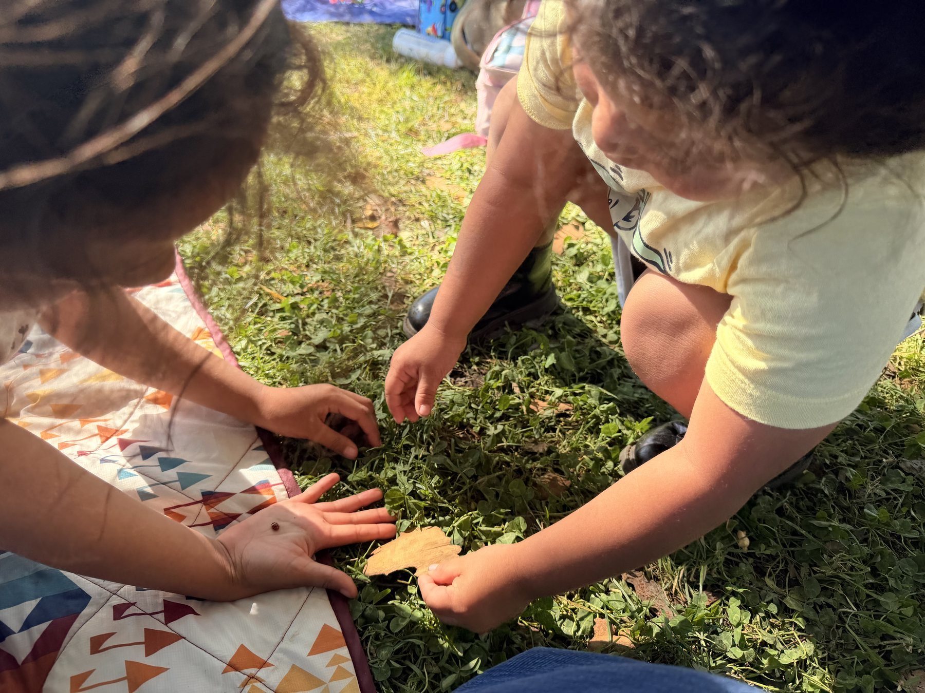 Children discovering a ladybug together outdoors